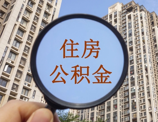 兴化哈尔滨公积金大额提取（兴化哈尔滨公积金大额提取条件）